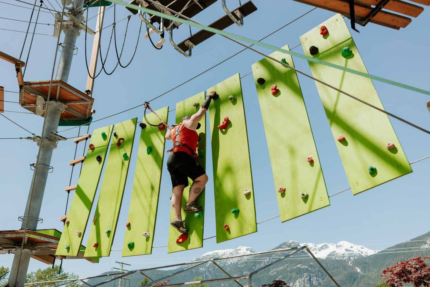 JUEGO IMN C011 COOKIE CUTTER