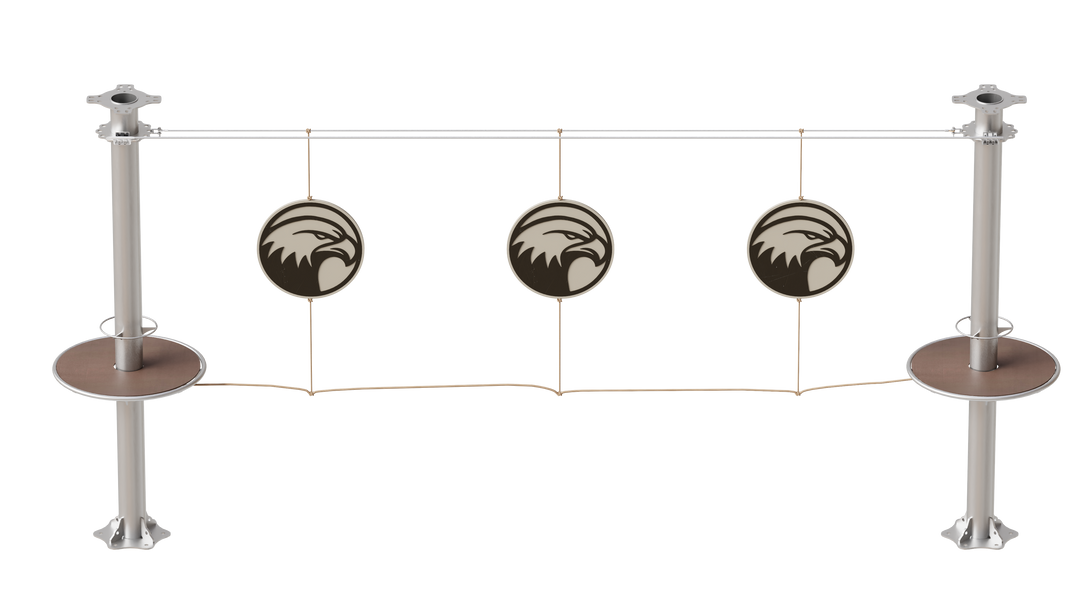 JUEGO B050 SPINNING BALD EAGLE