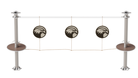 JUEGO B050 SPINNING BALD EAGLE