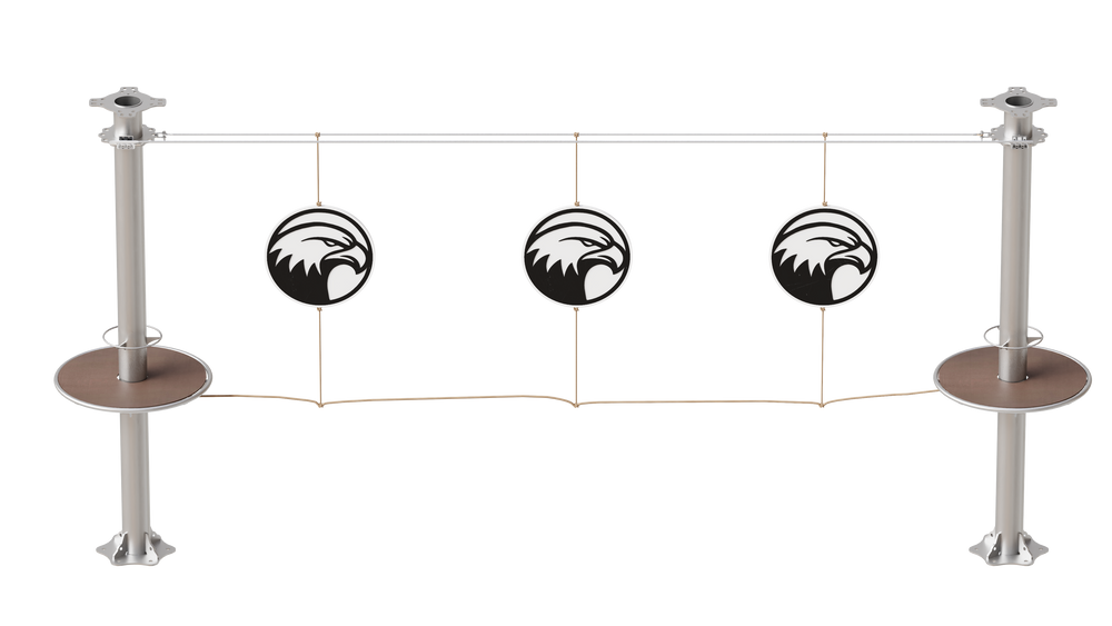 JUEGO B050 SPINNING BALD EAGLE