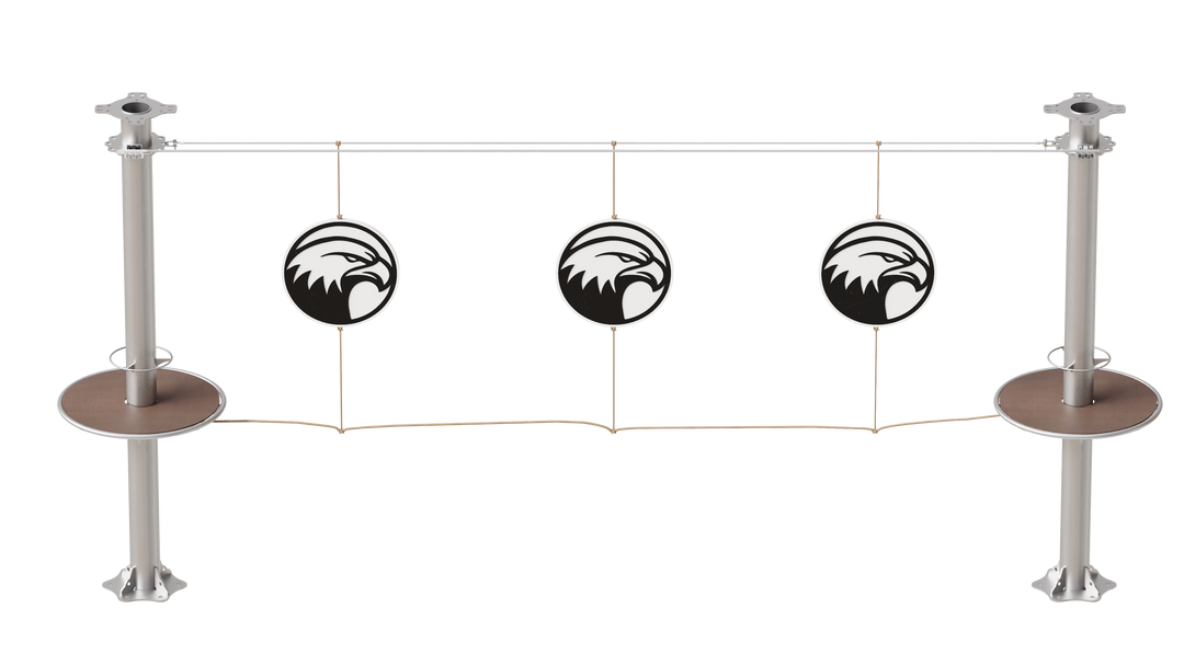 JUEGO B050 SPINNING BALD EAGLE