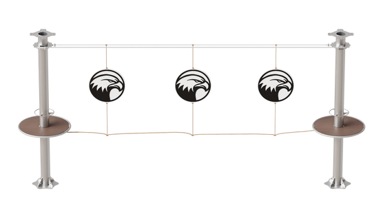 JUEGO B050 SPINNING BALD EAGLE