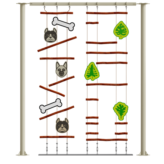 JUEGO IMN JACOBS LADDER